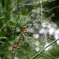 DSCF1781