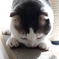 日々のメンテナンス