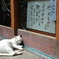 日向ぼっこ