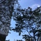 photo_3786938