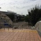 photo_3786942