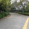 photo_3786960