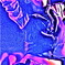 スキャン画像10