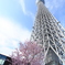 東京スカイツリー３