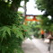 鳥居