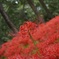 DSC04085