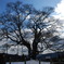 12月１9日　吹雪の蒜山へ 009