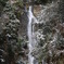 12月１9日　吹雪の蒜山へ 046