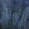 露