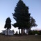R0011585