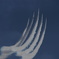 Blue　Impulse⑤　ワイドデルタロール