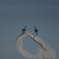 Blue　Impulse⑥　
