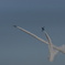 Blue　Impulse⑦　コークスクリュー