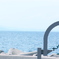 海へ響く