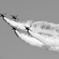 Diamond　lowpass　with　Dirty　configuration