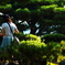 いいのとれました？ ～兼六園～