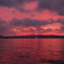 IMGP4204_1