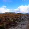 Trails