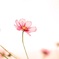 Lovesong