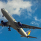 SKYMARK