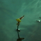よどみに浮かぶ