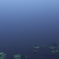 明鏡浮草之図