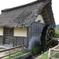 P1010350