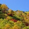 午後の日差し
