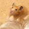 おっちゃん〜、遊んでくれやがれ〜♪