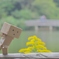 はしゃぎ過ぎ