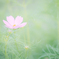 For you