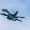 AF-S NIKKOR 800mm f/5.6E FL ED VR