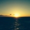襟裳岬の夕日