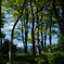 Green City
