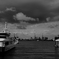 tokyo monochrome#395