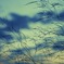 夕空3