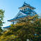 長浜城