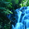 白糸の滝