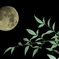 十三夜のお月様