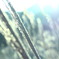 090803364