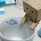 あおたぬき･･･？