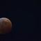 天王星と皆既中の月。