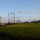 vista car