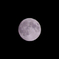 0908　moon