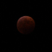 1008　moon