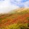 栗駒山～紅葉～