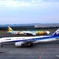 新千歳空港 ANA B777