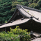 歴史のある寺