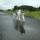 雨上がり