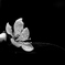 李の花